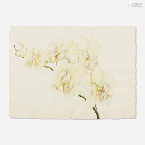 Makiko Nagano, Untitled (Orchids)