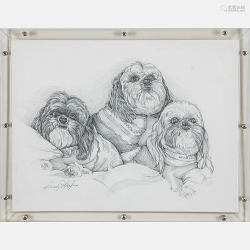 Artist Unknown (20th Century) Portrait of Dogs, Pencil