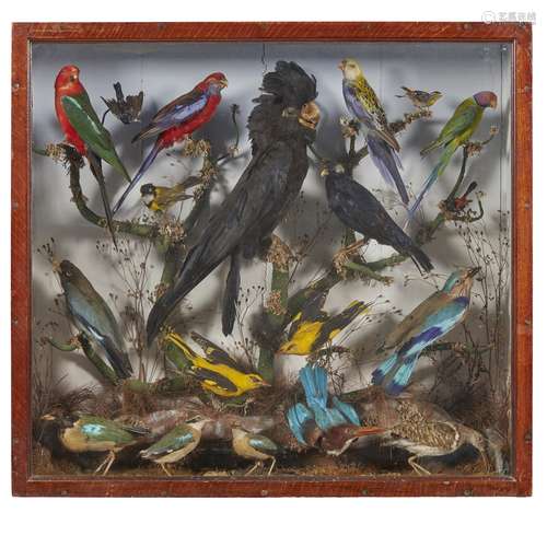 Y VICTORIAN TAXIDERMY BIRD DIORAMA LATE 19TH CENTURY