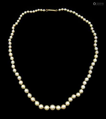 Single stand graduating pearl necklace, with gold barrel clasp