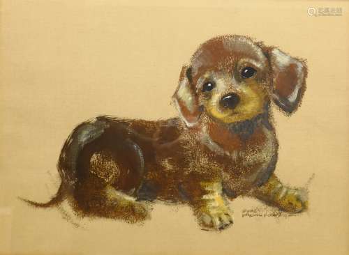 Pollyanna Pickering (British 1942-2018): Study of a Puppy, mixed media signed 44cm x 60cm