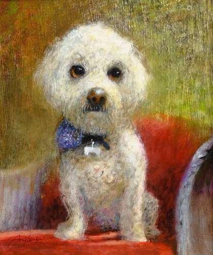 William Anthony 'Tony' Denison (British 1937-): Portrait of a Bichon Frise, oil on board signed 29c