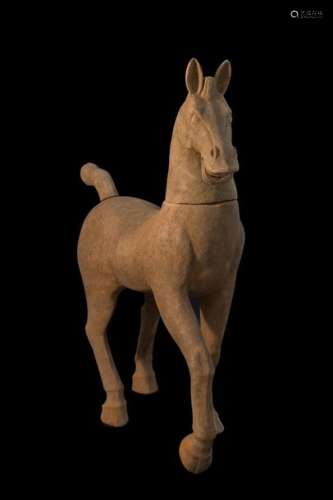 Large ochre terracotta piaffant horse, the head an…