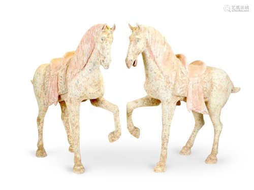 Pair of horses front legs raised symbol of eleganc…