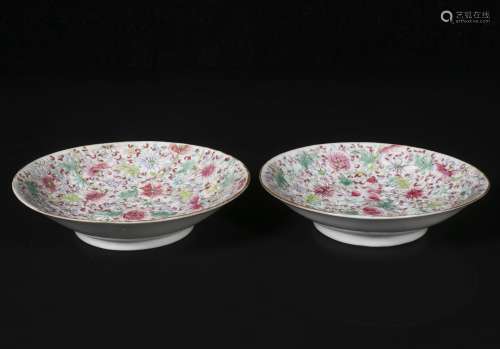 A Pair of Plates with Floral design