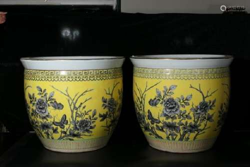 A Pair of Yellow pot with floral details