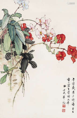 田世光(1916-1999) 卡特兰花