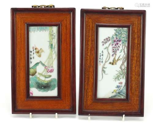 Pair of Chinese porcelain panels housed in hardwood frames, each hand painted with birds amongst