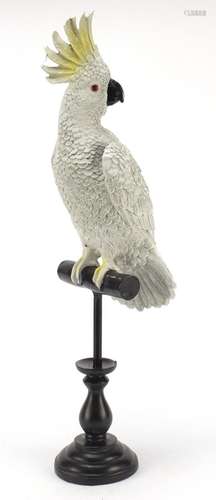 Painted model of a cockatoo in the style of Franz Xaver Bergmann, 51.5cm high : For Further