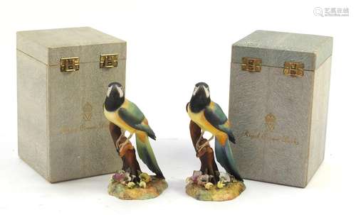 Two Royal Crown Derby Macaw parrots with boxes, 18cm high : For Further Condition Reports Please