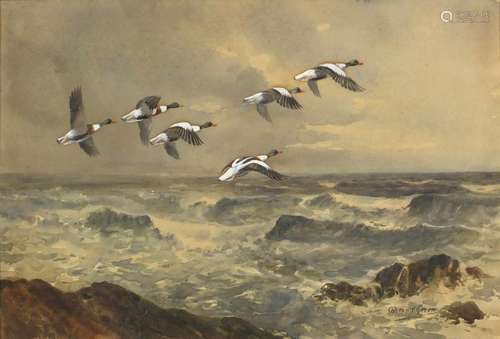 Roland Green - Sheld-duck going to sea, heightened watercolour, Arthur Ackerman & Son label verso,