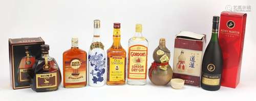 Seven bottles of alcohol including Remy Martin Cognac, Hein Cognac, Gordons Gin and four Bells Rum :