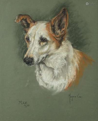 Marjorie Cox - Portrait of a dog, Max, signed mixed media, framed and glazed, 45cm x 37cm : For