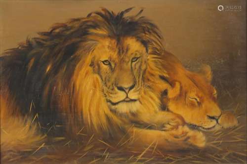 Lion and lioness, late 19th/early 20th century oil on canvas, bearing a signature J A Price, mounted