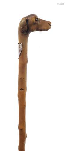 Naturalistic walking stick with carved dog's head pommel having beaded eyes and silver shield,