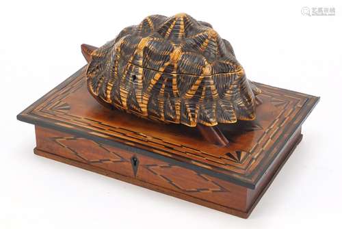 Anglo Indian star tortoise tea caddy work box with ebony, fruitwood and exotic inlay, the