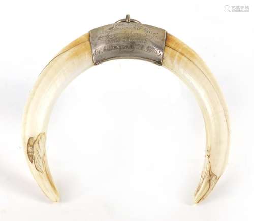 19th century military interest boars tusk pendant with white metal mount, engraved Worn during the
