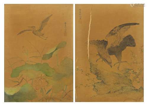 Pair of Chinese watercolour's on silks depicting birds of paradise, each with calligraphy and signed