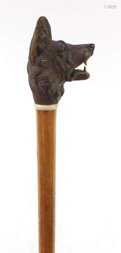 Malacca walking stick with ivory collar and carved Black Forest pommel in the form of a wolf's head,