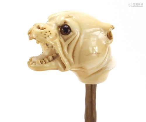 19th century carved ivory walking stick handle in the form of an angry Bulldog with beaded glass