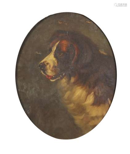 St Bernard dog, 19th century oval oil on canvas, framed, 49cm x 39cm : For Further Condition Reports