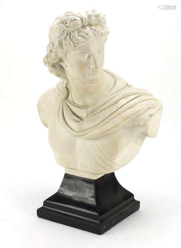 Large Austin classical plaster bust of Apollo, 53cm high : For Further Condition Reports Please