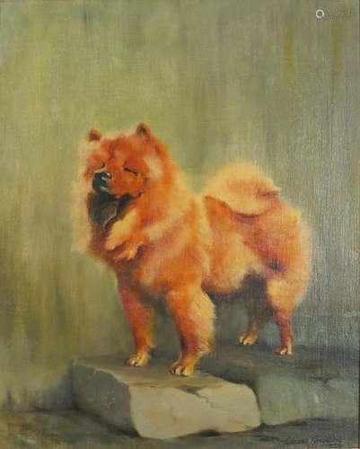 Claude Rampling - Saba, Pekingese dog, signed oil on board, details verso, framed, 49cm x 39cm : For