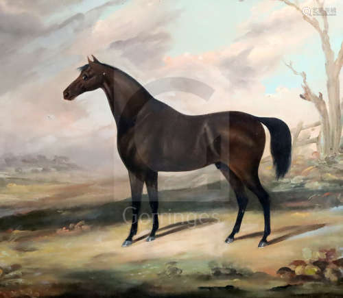 English School (19th century)oil on canvasDark bay horse in a winter landscape21in x 24.