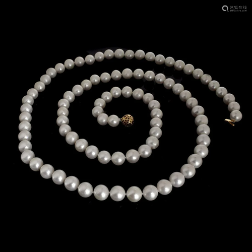 South Sea Pearl Necklace