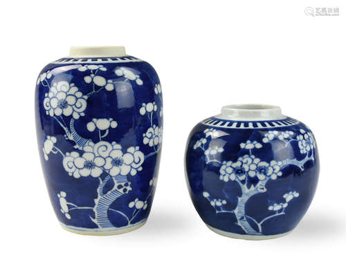 Two Chinese Blue & White Prunes Jar, 19th C.