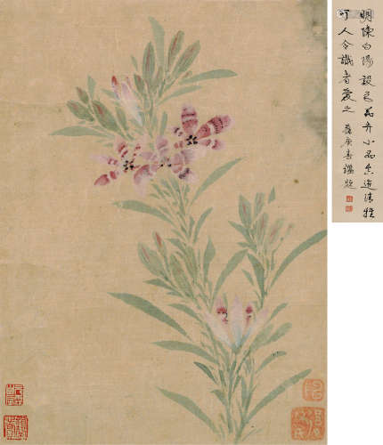 1483～1544 陈淳   花卉  镜框  设色绢本