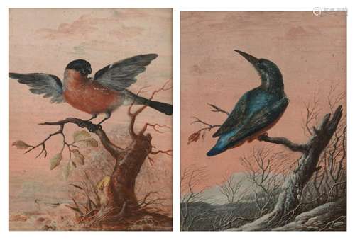 No visible signature, a bullfinch, and a kingfishe…