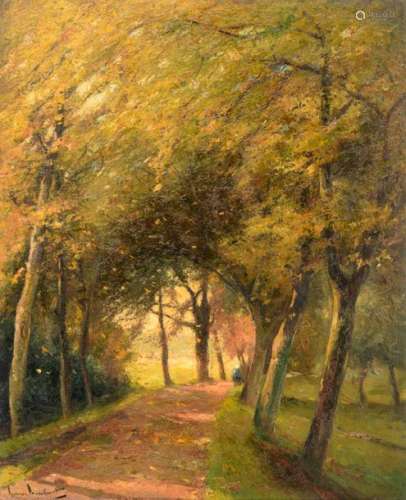 Broeckaert H., a forest lane in autumn, oil on boa…