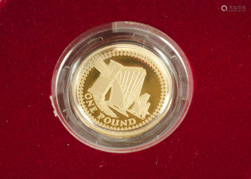 A Royal Mint UK Gold Proof One Pound Coin, dated 2004, in box with certificate, 22ct gold, 19.6g