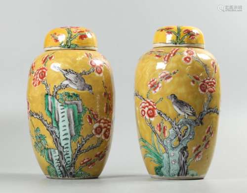 pair of Chinese porcelain cover jars, possibly 19th c.