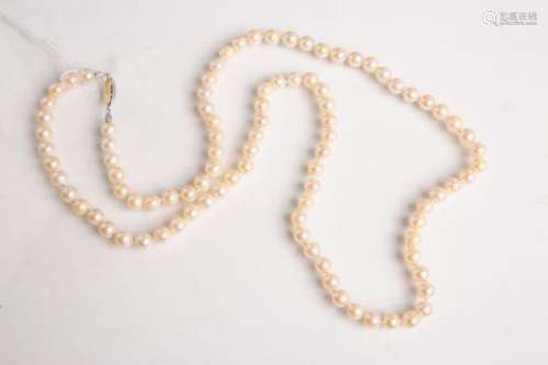 Akoya-Perlenkette, Schließe 585 WG/GG, gestempelt: Feingehalt, L. (im geschl. Zustand) ca.