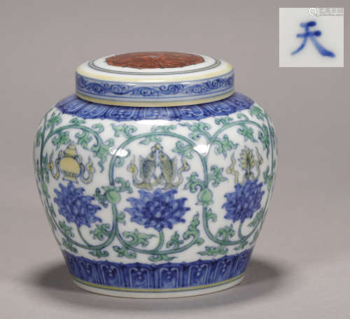 Ming Dynasty - Doucai Jar with Paintings