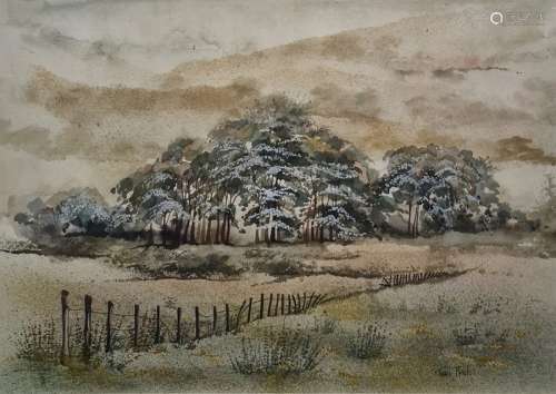 Trudi Finch Watercolour Woodland scene, signed lower right, 25.5 x 36cm