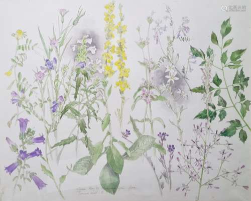 Bernard West Watercolour Floral specimens from book illustrations, signed and dated '92, 41 x 48cm