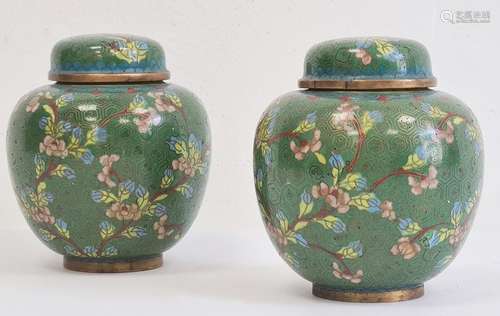 Pair of cloisonne enamelled ginger jars and domed covers, decorated with flowering prunus