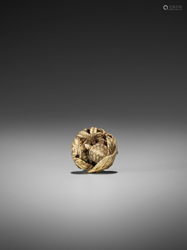 A FINE STAG ANTLER MANJU NETSUKE OF A TURTLE