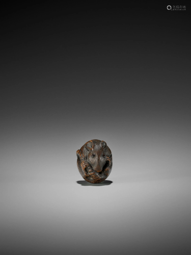 A WOOD NETSUKE OF A COILED RAT