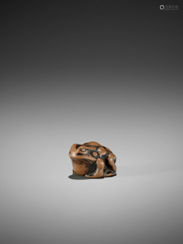 AN EARLY WOOD NETSUKE OF A TOAD