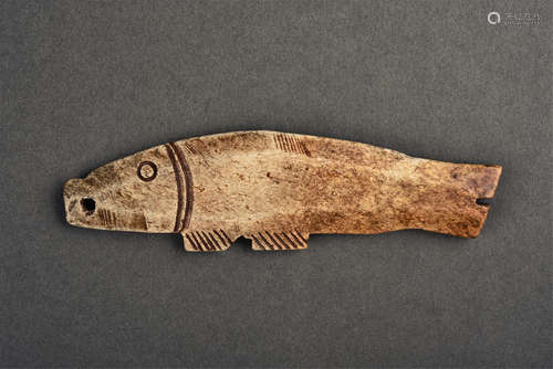 CHICKEN BONE FISH SHANG DYNASTY