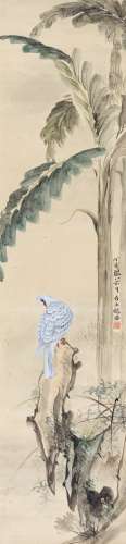 赵浩公丁亥（1947）年作 白鸽蕉石 立轴 设色纸本