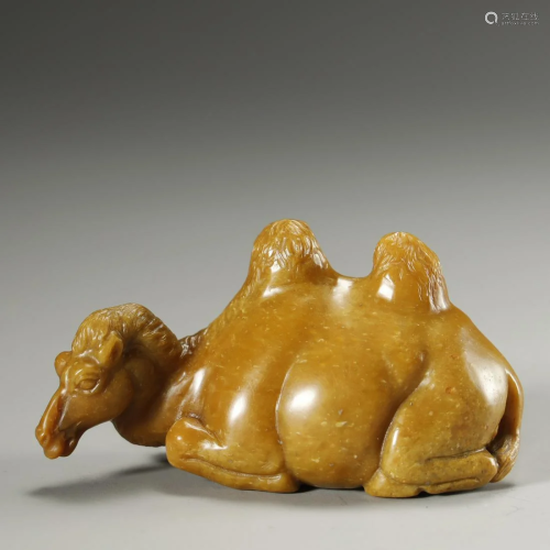 A CARVED TIANHUANG CAMEL