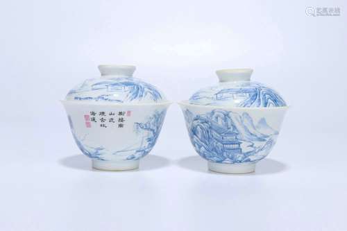 Pair Of Blue And White Porcelain Bowls,Qing Dynasty