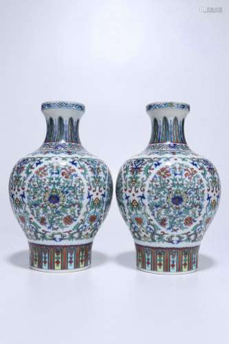 Pair Of Doucai Porcelain Vases,Qing Dynasty