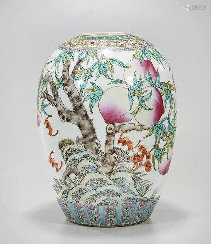 Chinese Enameled Porcelain Vase