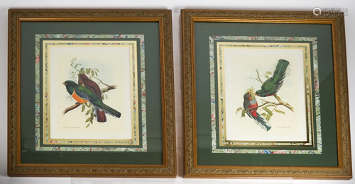 Pair of Aviary Prints